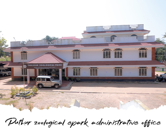 suncore infra